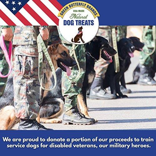 Green Butterfly Brands Beef Dog Treats - Made in USA Only - All Natural, Meaty Slow Roasted Beef Tips - Premium American Beef - Grass Fed, Farm Raised - Crunchy & Delicious Grain Free Training Treat