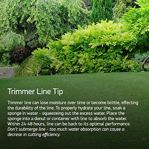 Oregon 69-174 Gatorline Round Trimmer Line .08-Inch by 50-Foot