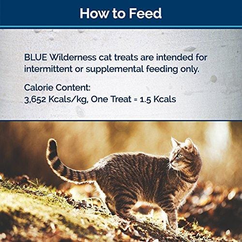 Blue Wilderness Grain-Free Soft--Moist Chicken & Turkey Recipe Cat Treats 2-Oz