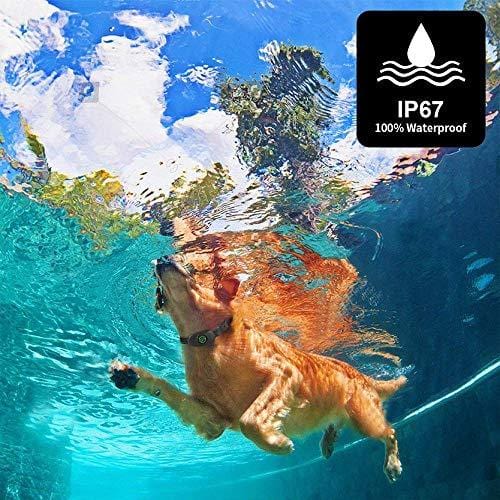 Dog Bark Collar, Humane Anti Barking Training Collar, Adjustable Stop Barking Collar for Small Medium Large Dogs, Best No Barking Control Dog Collar by Moer Sky