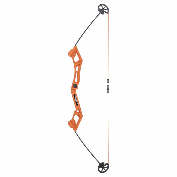 Bear Archery Valiant Bow Set