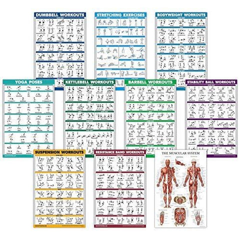10 Pack - Exercise Workout Poster Set - Dumbbell, Suspension, Kettlebell, Resistance Bands, Stretching, Bodyweight, Barbell, Yoga Poses, Exercise Ball, Muscular System (PAPER, NON LAMINATED,18" x 27")