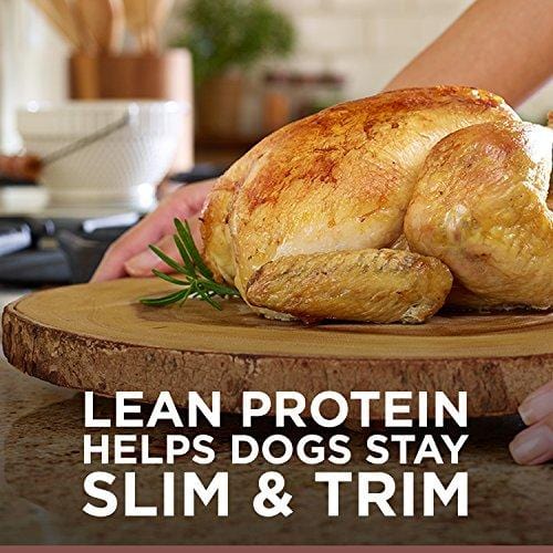 Hill'S Ideal Balance Adult Natural Dog Food, Chicken & Brown Rice Recipe Dry Dog Food, 30 Lb Bag