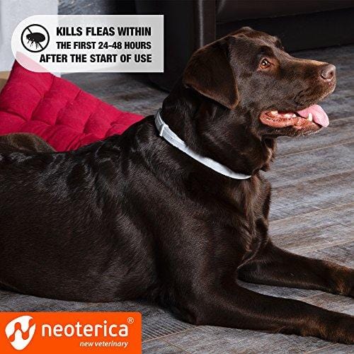 Rolf Club 3D FLEA Collar for Dogs - Flea and Tick Prevention for Dogs - Dog Flea and Tick Control for 6 Months - Safe Tick Repellent - Waterproof Tick Treatment (for All Dogs)
