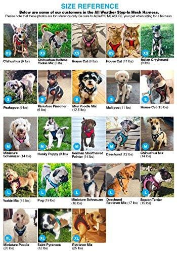 Voyager Step-In Air Dog Harness - All Weather Mesh, Step In Vest Harness for Small and Medium Dogs by Best Pet Supplies - Pink Base, Small (Chest: 14.5" - 17")