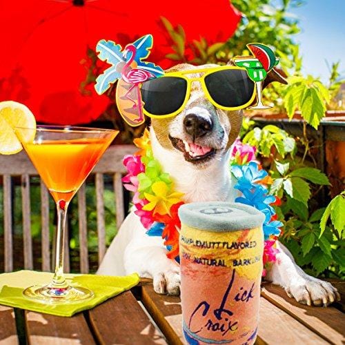 Haute Diggity Dog Muttini Bar Collection | Unique Squeaky Plush Dog Toys – Dogmestic and Impawted