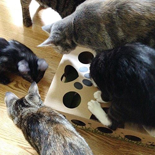 Cat Amazing - Best Cat Toy Ever! Interactive Treat Maze & Puzzle Feeder for Cats