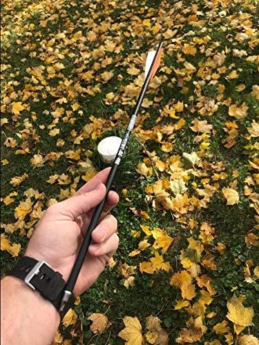 REEGOX 20 inch Carbon Crossbow Bolts Bio with 4-Inch Vanes(Pack of 12) Orange - Ultra Pickleball