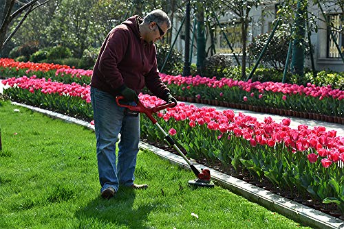 PowerSmart 20 Volt Lithium-Ion Cordless String Trimmer/Edger with Easy Feed, Includes One Battery & Charger,PS76110A