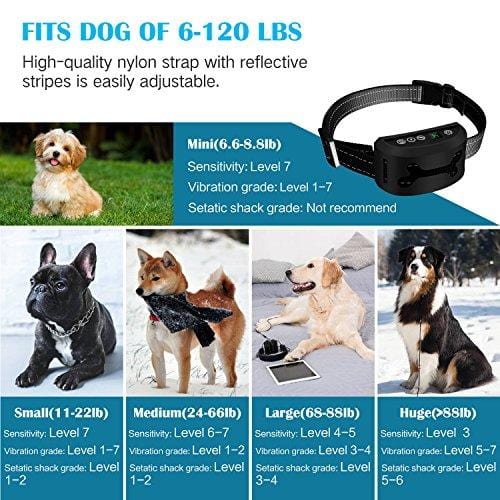 Bark Collar, 2019 NEW Training Collar Adjustable Vibration, Shock Sensitivity Level 1-7, Rechargeable Waterproof, Smart Barking Detection Small Large Dog, No Bark Collar