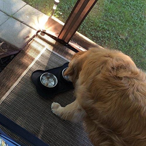 URPOWER Dog Bowls Stainless Steel Dog Bowl with No Spill Non-Skid Silicone Mat 53 oz Feeder Bowls Pet Bowl for Dogs Cats and Pets
