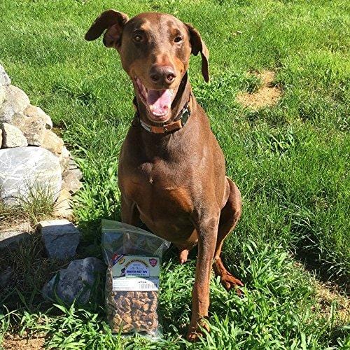 Green Butterfly Brands Beef Dog Treats - Made in USA Only - All Natural, Meaty Slow Roasted Beef Tips - Premium American Beef - Grass Fed, Farm Raised - Crunchy & Delicious Grain Free Training Treat