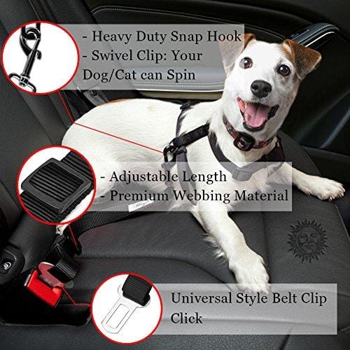 2 Adjustable Car Seat Belts For Dogs & Cats --- Triple The Survival Ra – Ultra Pickleball