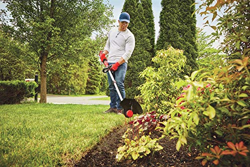 CRAFTSMAN V20 String Trimmer / Edger (CMCST910M1)