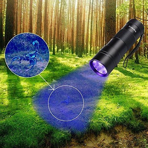 Black Light UV Flashlight UV Light,Vansky Blacklight 12 LED Ultraviolet Urine Detector For Dog/Cat/Pet Urine & Dry Stains and Bed Bug On Carpets/Rugs/Floor,Matching with Pet Odor Eliminator