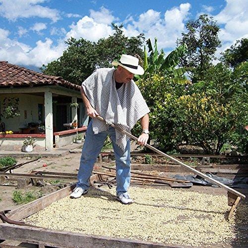 5LB Cafe Don Pablo Subtle Earth Organic Gourmet Coffee - Dark Roast - Whole Bean Coffee - USDA Certified Organic Arabica Coffee - (5 lb) Bag