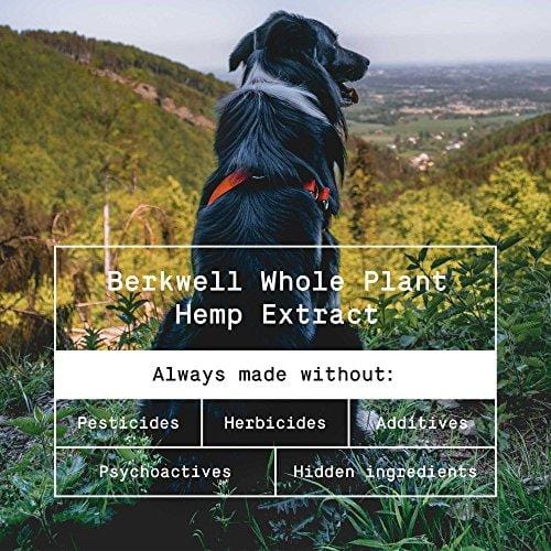 Berkwell Pure Whole Hemp Extract Oil for Dogs - 500mg 2oz - Supports Mobility and Calmness - Authentic USA Made Human-Grade Ingredients