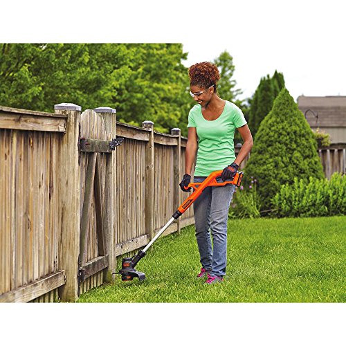 BLACK+DECKER 20V MAX String Trimmer/Edger Kit, 10-Inch (LST201)