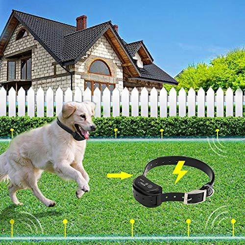TTPet Electric Dog Fence,In-ground/Aboveground Pet Containment System, IP66 Waterproof&Rechargeable Collar,Shock&Tone Correction,Support 2 Dogs