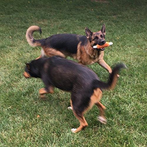 Jalousie 12 Pack Dog Squeaky Toys Cute Plush Toys for Small Medium Dog Pets