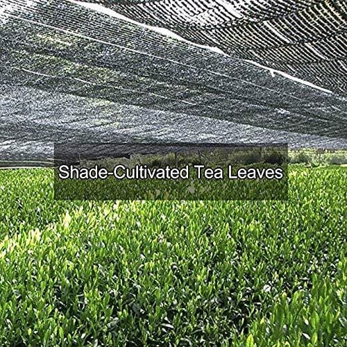 Tmatcha Organic Japanese Matcha Green Tea Powder USDA Organic Certification Culilary Grade Gluten Free & Vegan 8 oz(227 g)