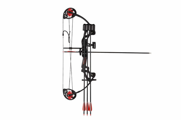 PANDARUS Compound Bow Topoint Archery for Youth and Beginner, Right Handed,19"-28" Draw Length,15-29 Lbs Draw Weight, 260 fps, Package with Archery Hunting Equipment (Black)