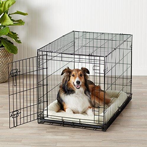 AmazonBasics Single-Door Folding Metal Dog Crate - 36 Inches