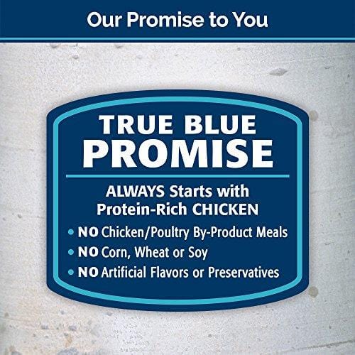 Blue Wilderness Grain-Free Soft--Moist Chicken & Turkey Recipe Cat Treats 2-Oz