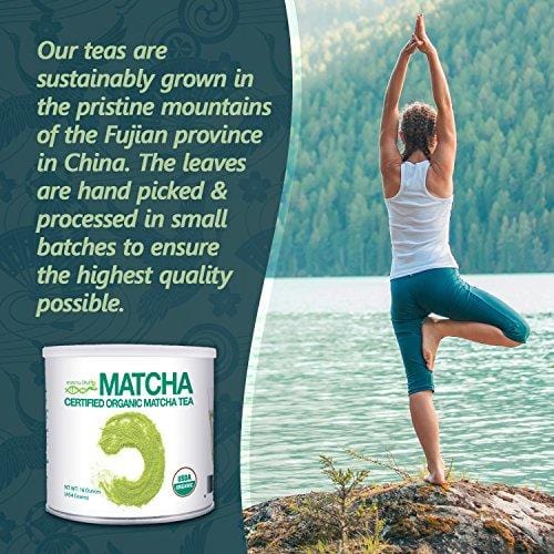MatchaDNA 1 LB Certified Organic Matcha Green Tea Powder (16 OZ TIN CAN)