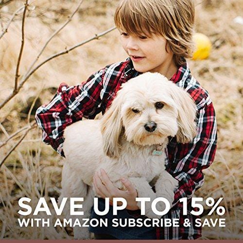 Hill'S Ideal Balance Adult Natural Dog Food, Chicken & Brown Rice Recipe Dry Dog Food, 30 Lb Bag