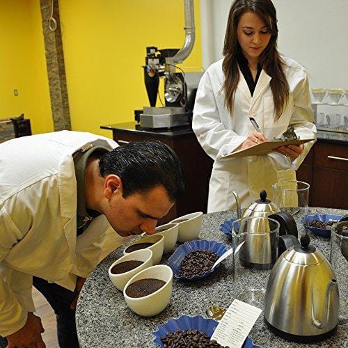 5LB Cafe Don Pablo Subtle Earth Organic Gourmet Coffee - Light Roast - Whole Bean Coffee - USDA Certified Organic Arabica Coffee - (5 lb) Bag