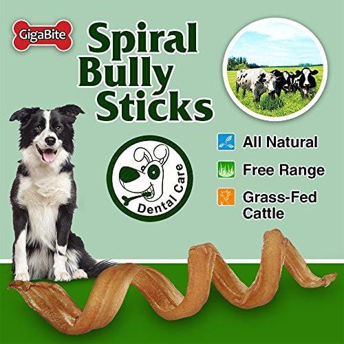 GigaBite 6 Inch Odor-Free Spiral Bully Sticks (10 Pack) - USDA & FDA Certified, All Natural, Curly Bully Spring Dog Treat - By Best Pet Supplies