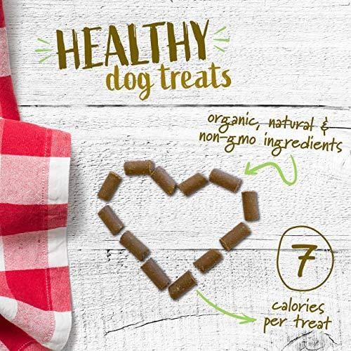 Pet Naturals Of Vermont - Superfood Treats For Dogs, Homestyle Chicken Flavor, 100+ Bite-Sized Chews, Organic Ingredients