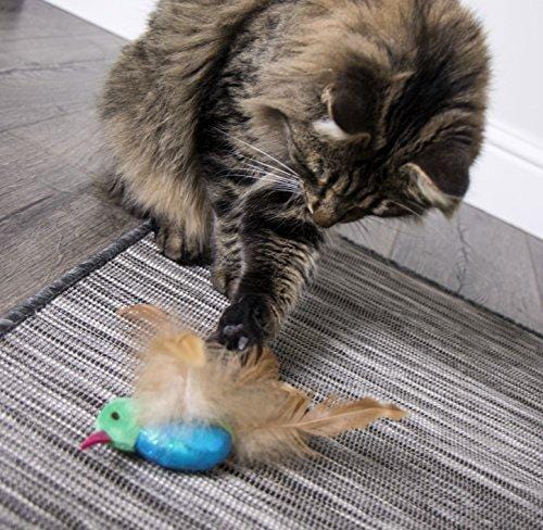 SmartyKat Hum Singer Electronic Sound Cat Toy