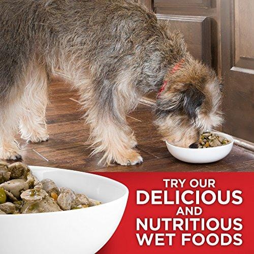 Hill's Science Diet Dry Dog Food, Adult, Sensitive Stomach & Skin, Chicken Recipe, 30 lb Bag
