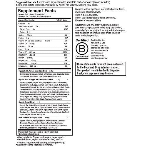 Garden of Life Raw Organic Perfect Food Green Superfood Juiced Greens Powder - Chocolate, 60 Servings - Non-GMO, Gluten Free, Vegan Whole Food Dietary Supplement, Plus Probiotics & Enzymes