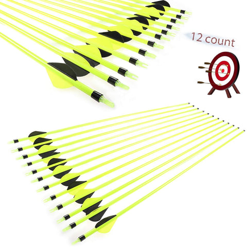 JY-Sports Targeting Arrows 30'' Inch Carbon Fiber Hunting Arrows Outdoors Archery Green Shaft with Replace Arrow Tips and Removable Nock for Compound Bow a Dozen Arrows in Box (Green)