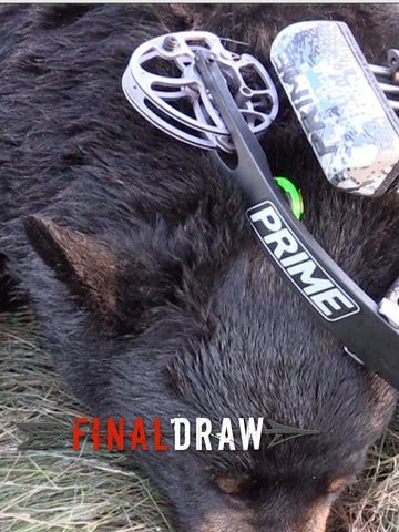 Prime Logic Bow Review and How to video