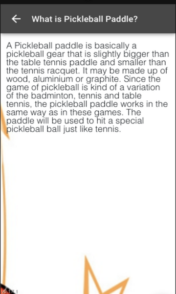 Pickleball Paddle