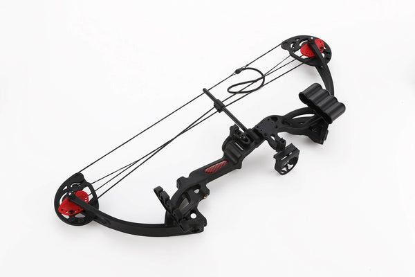 PANDARUS Compound Bow Topoint Archery for Youth and Beginner, Right Handed,19"-28" Draw Length,15-29 Lbs Draw Weight, 260 fps, Package with Archery Hunting Equipment (Black)