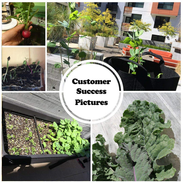 22,000 Non GMO Heirloom Vegetable Seeds, Survival Garden, Emergency Seed Vault, 33 VAR, Bug Out Bag - Beet, Broccoli, Carrot, Corn, Basil, Pumpkin, Radish, Tomato, More