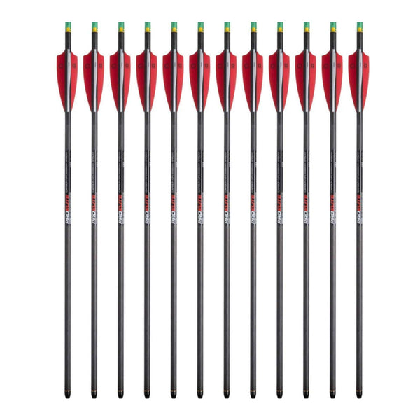 Tenpoint Pro Elite Carbon Crossbow Arrows with Alpha-Nocks, 12 Pack Bundle (HEA-640.6). for use with Any Crossbow. 2 Packs of 6 (12 Items)