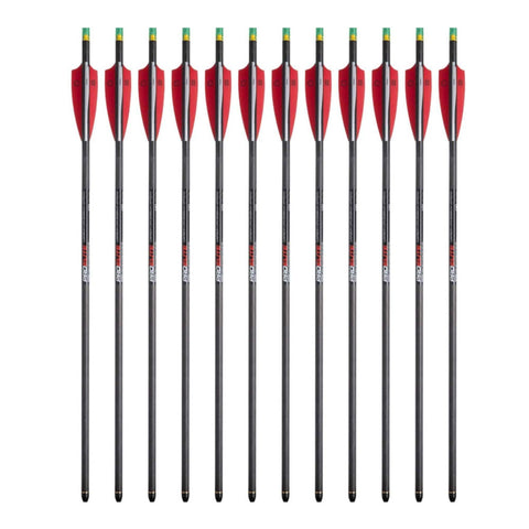 Tenpoint Pro Elite Carbon Crossbow Arrows with Alpha-Nocks, 12 Pack Bundle (HEA-640.6). for use with Any Crossbow. 2 Packs of 6 (12 Items)