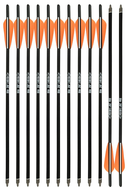 REEGOX 20 inch Carbon Crossbow Bolts Bio with 4-Inch Vanes(Pack of 12) Orange - Ultra Pickleball