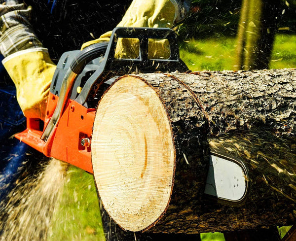 SALEM MASTER 10 Inch Chainsaw Chains 3/8 LP Pitch - .050" Gauge - 39 Drive Links, Semi-Chisel Gas Powered Chainsaw Chain Fits for Echo, Poulan, McCulloch (10)