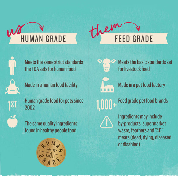 The Honest Kitchen Human Grade Dehydrated Organic Grain Turkey Dog Food 10 lb - Keen