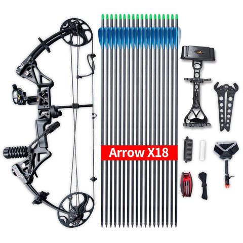 Compound Bow Package,M1,19"-30" Draw Length,19-70Lbs Draw Weight,320fps IBO Via Express Service Delivered Within 7Days(BLACK)