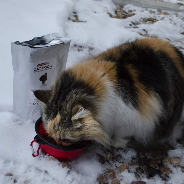 Emergency Zone Cat Deluxe Bug Out Emergency Survival Kit. Prepare Your Cat for Hurricanes, Earthquakes, Wildfires, etc.