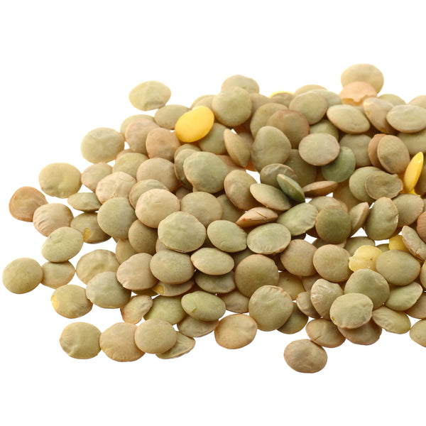 Augason Farms Lentil Beans Emergency Bulk Food Storage 4 Gallon Pail 231 Servings