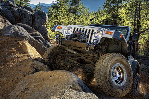 WARN 96810 VR 10 Winch